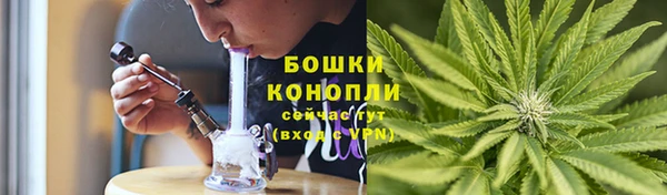 крисы Ессентукская